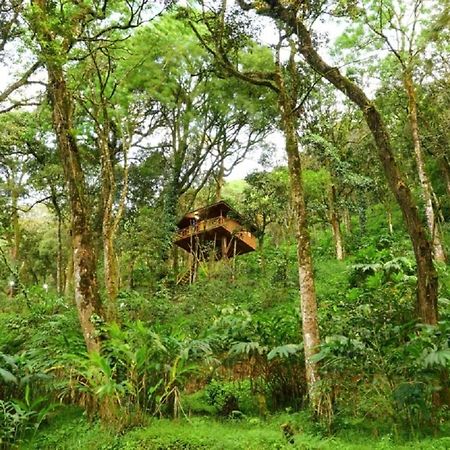 Seven Springs Resort Munnar Exterior photo