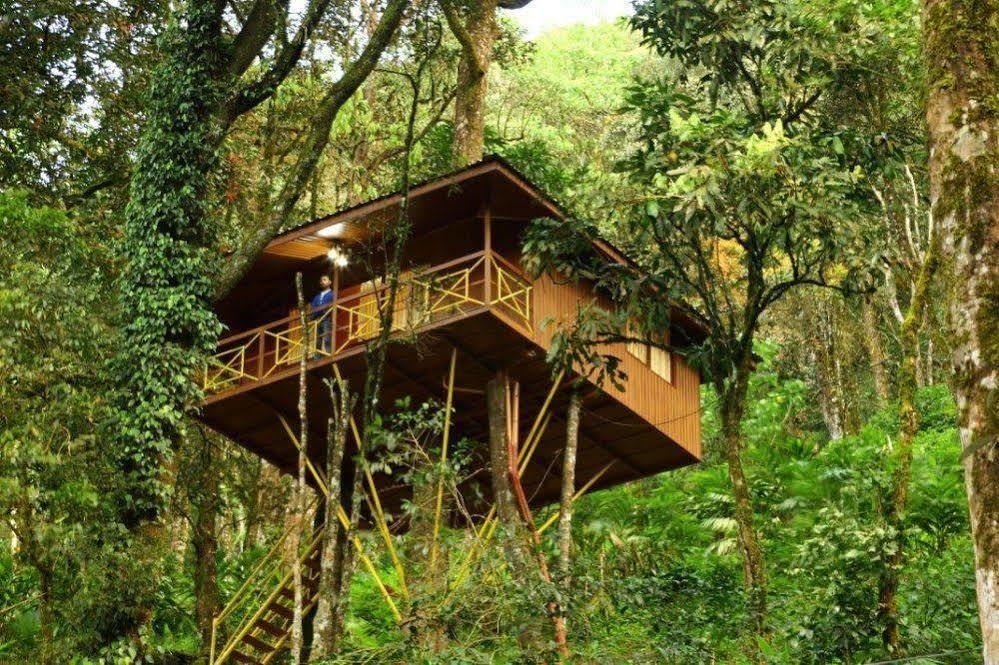 Seven Springs Resort Munnar Exterior photo