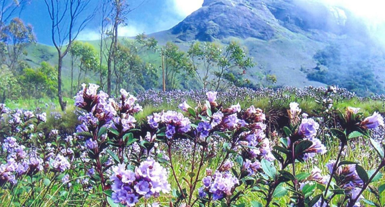 Seven Springs Resort Munnar Exterior photo