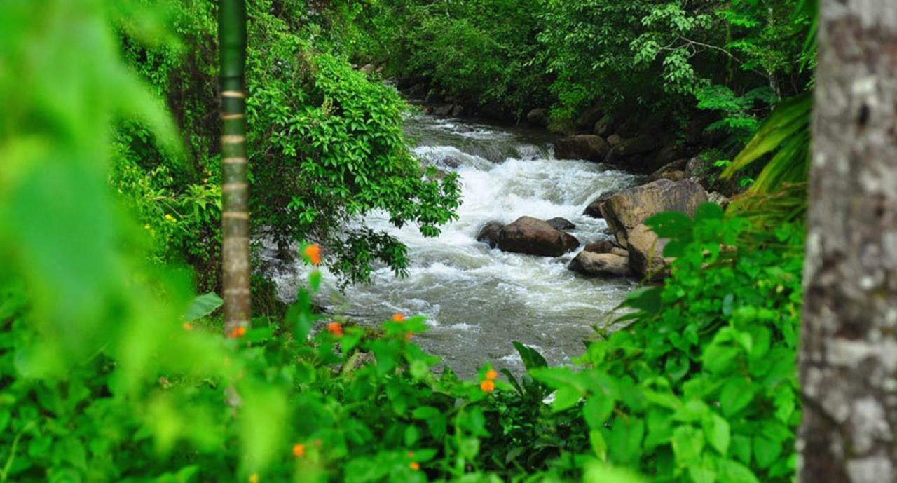 Seven Springs Resort Munnar Exterior photo