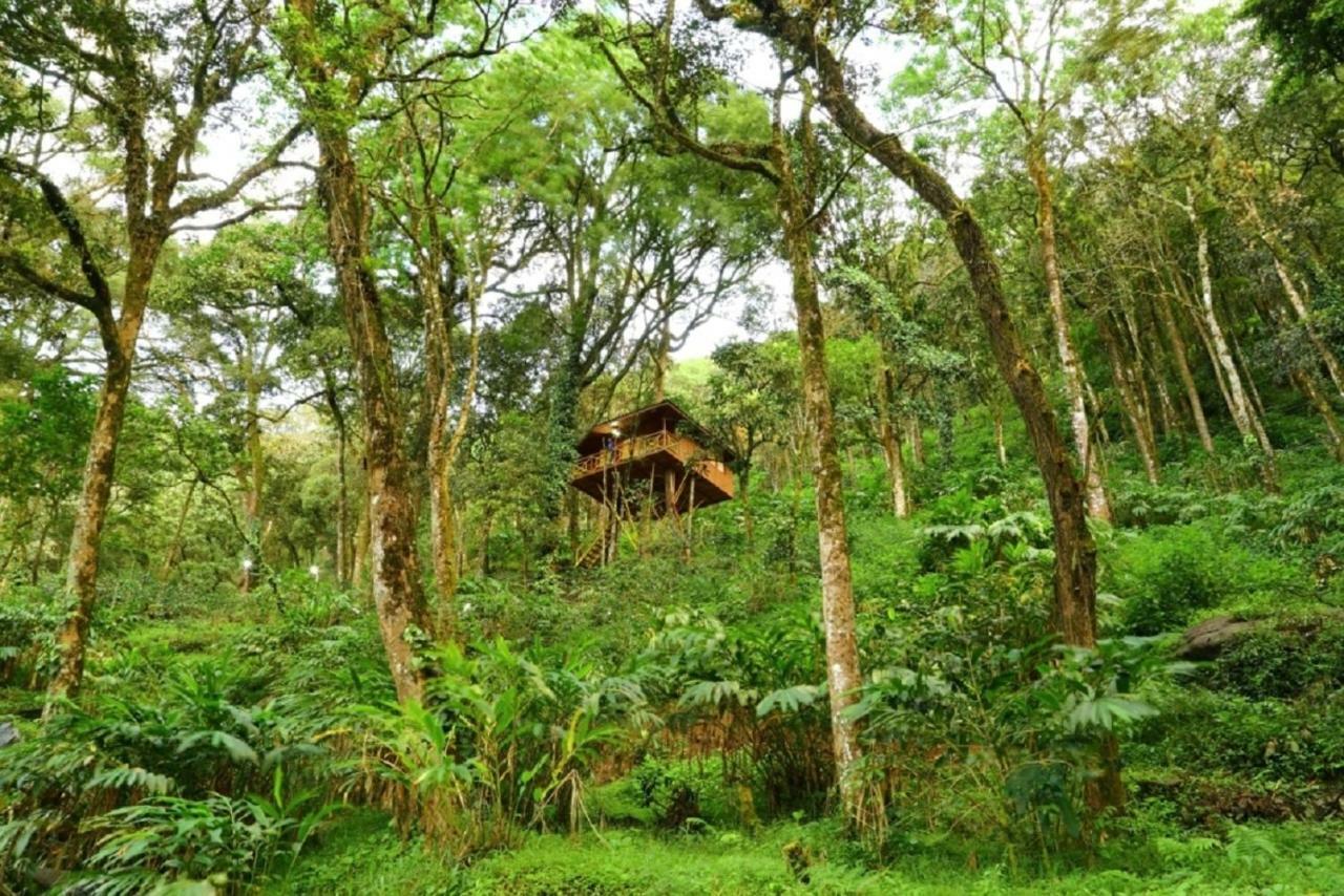 Seven Springs Resort Munnar Exterior photo